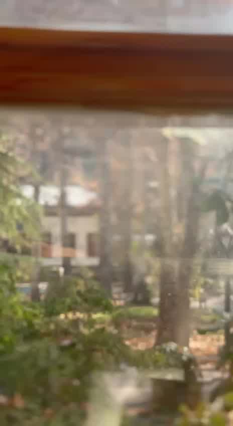 Video 11