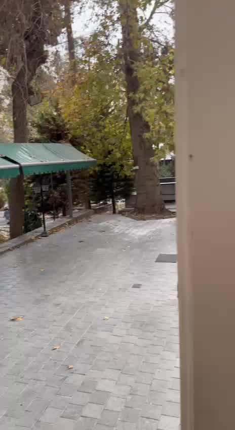 Video 12